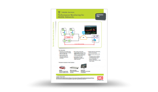 Performance Monitoring for Mobile Networks