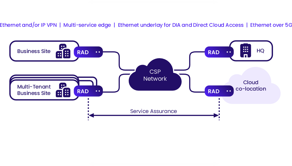 Carrier Ethernet for Business Network Services | RAD