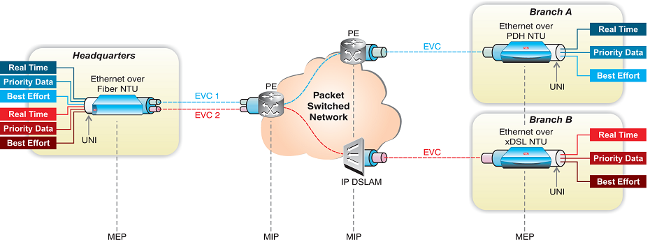 EVPL Service