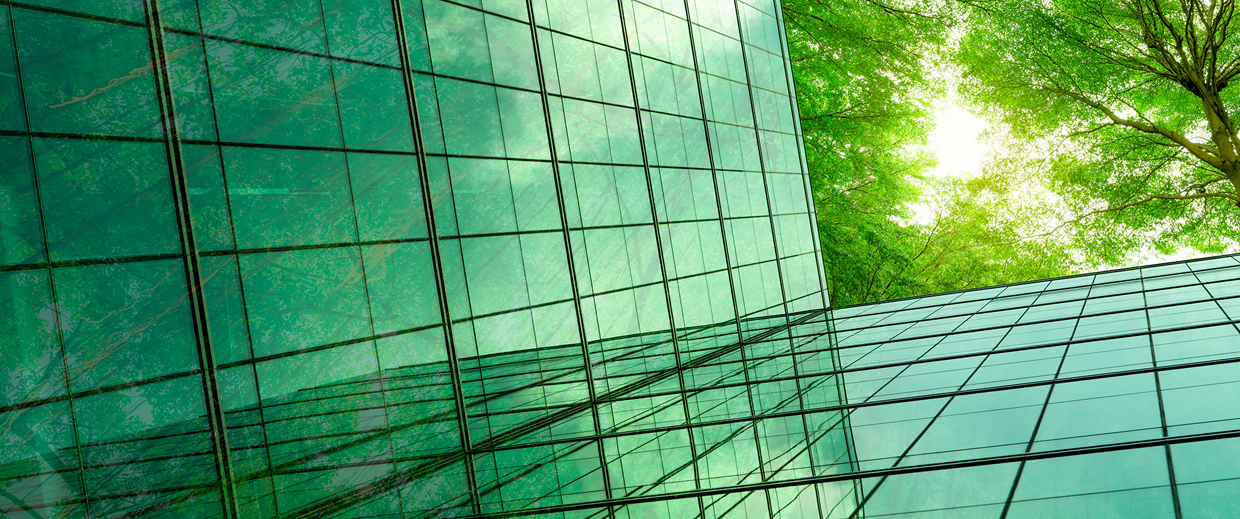 Carbon Footprint, Sustainability, Energy