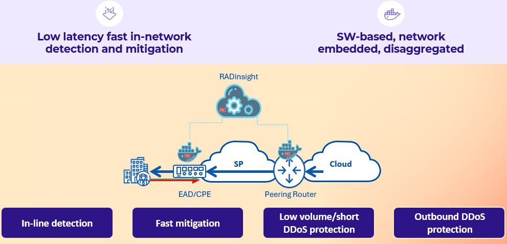DDoS_Protection_architecture